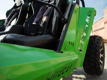Arctic Cat Wildcat 1000