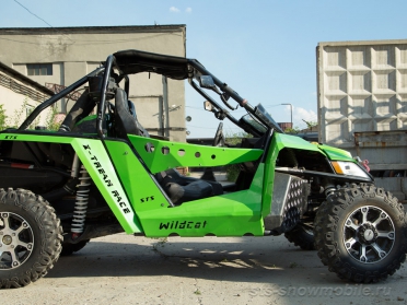 Arctic Cat Wildcat 1000